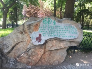 紫竹院公园全攻略：免费门票、最佳路线与拍照技巧，轻松规划完美一日游