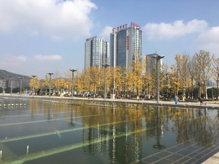 两江幸福广场全攻略：交通美食休闲一站式解决，轻松玩转重庆城市客厅