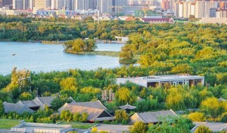 唐山南湖公园旅游攻略：免费开放、四季美景与完美路线规划，轻松享受城市绿洲之旅