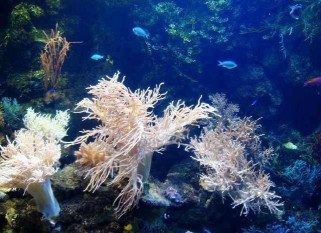 大连老虎滩游玩全攻略：必游景点路线、表演时间、门票优惠及交通指南