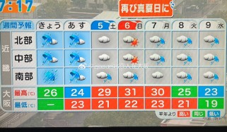 大阪天气全攻略：四季分明气候解析与实用应对技巧，让旅行更轻松愉快