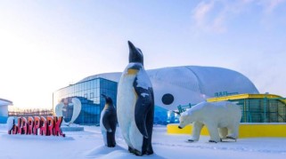 哈尔滨极地馆游玩全攻略：门票、表演、路线一网打尽，轻松避开人潮享受极地乐趣