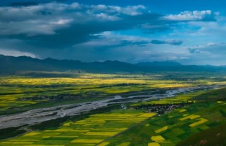 新疆拌面：丝绸之路上的千年美味，在家轻松做出正宗风味