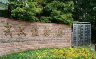 武汉植物园游玩全攻略：门票交通、最佳季节、景点路线一网打尽，轻松享受城市绿洲之旅