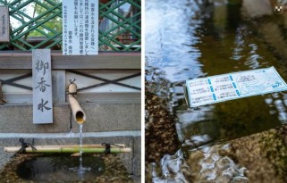 日本清酒：品味千年文化，解锁清酒选购与品鉴全攻略