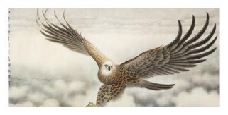 海东青图片高清大全：快速识别拍摄技巧与免费资源下载