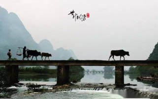 我想去桂林旅游攻略：山水如画与文化底蕴全解析，避开人潮轻松玩转