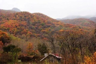 北京风景全攻略：解锁四季最佳旅游时节与必打卡景点，轻松规划完美行程