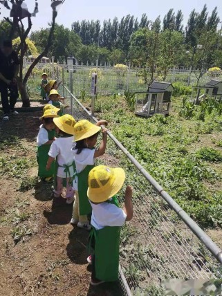 有机农场：从理念到盈利的完整指南，轻松享受健康生活