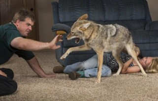 父亲生日礼物选购指南：实用贴心推荐，轻松解决送礼难题