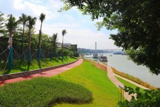 江滨公园游览全攻略：避开拥挤、轻松规划最佳路线与美食打卡