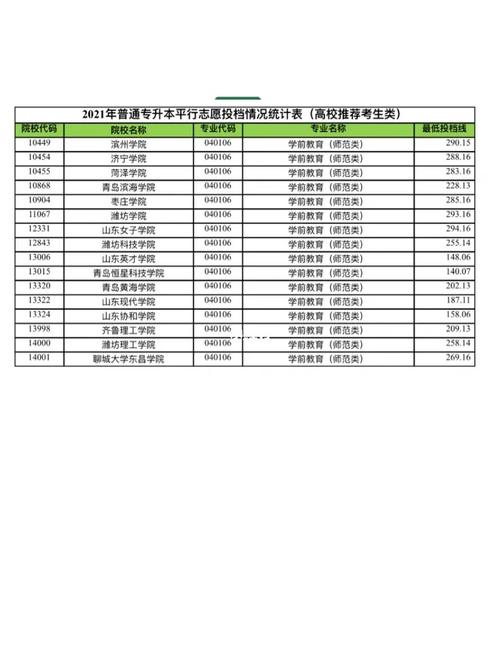 山东女子学院学前教育专业分数线解析