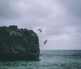 梦见剃光头，梦境解析与象征意义