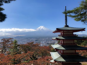 日本富士山登山季结束，死亡人数增加引发关注