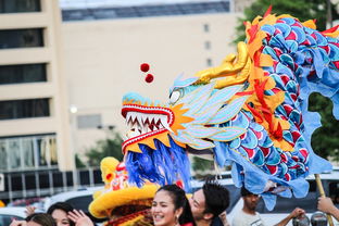 揭秘，赵忠祥与饶颖事件的真相与舆论漩涡