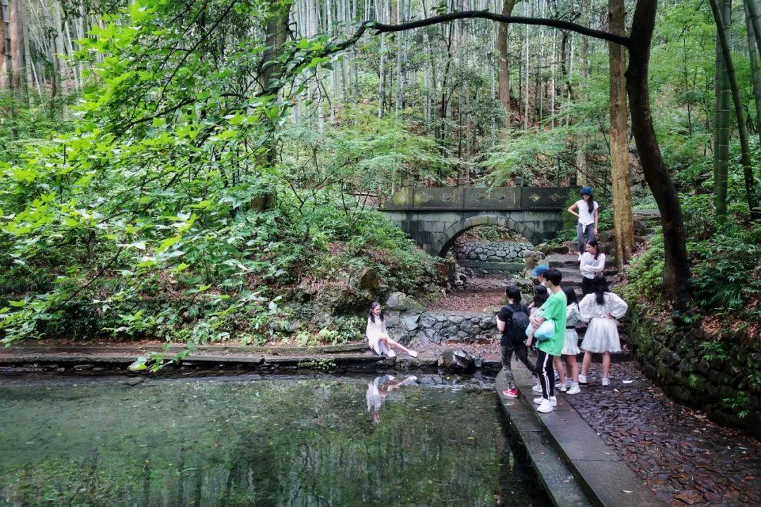 杭州云栖竹径旅游攻略:四季美景、交通路线与摄影打卡全指南 杭州云栖竹径旅游攻略:四季美景、交通路线与摄影打卡全指南