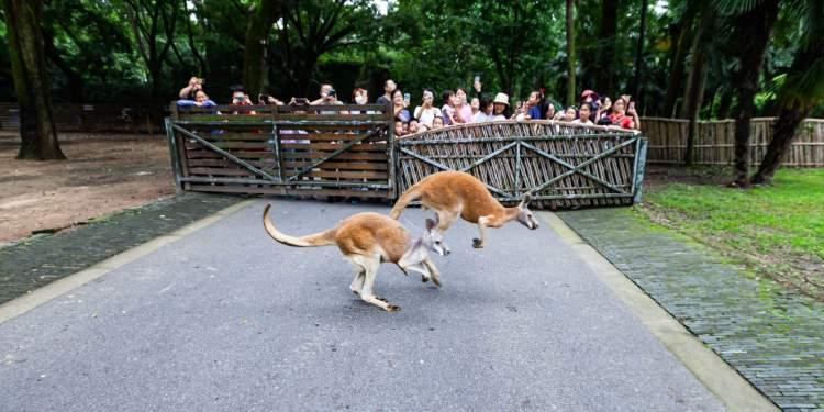 上海成人展全攻略:从隐秘探索到开放体验,轻松解锁成人用品新世界 上海成人展全攻略:从隐秘探索到开放体验,轻松解锁成人用品新世界