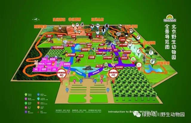 北京野生动物园门票全攻略:省钱避坑、快速入园,轻松规划完美亲子游 北京野生动物园门票全攻略:省钱避坑、快速入园,轻松规划完美亲子游