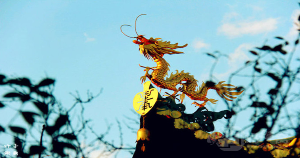 依兰县天气预报：精准掌握天气动态，轻松安排衣食住行