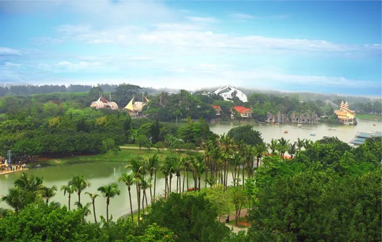 深圳海上田园游玩全攻略:门票、交通、四季玩法与避坑指南 深圳海上田园游玩全攻略:门票、交通、四季玩法与避坑指南