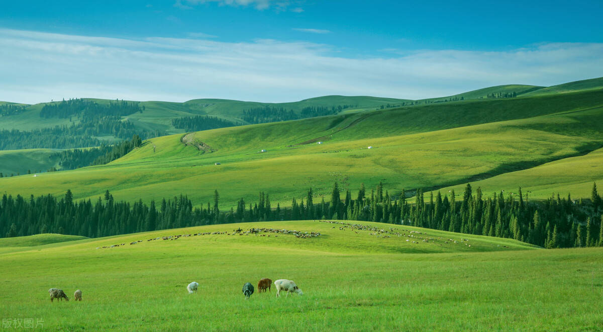 草原的图片高清免费下载与拍摄技巧,轻松捕捉辽阔美景 草原的图片高清免费下载与拍摄技巧,轻松捕捉辽阔美景