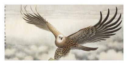 海东青图片高清大全:快速识别拍摄技巧与免费资源下载 海东青图片高清大全:快速识别拍摄技巧与免费资源下载