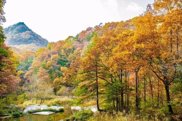 洛阳白云山旅游攻略:门票价格、交通路线、景点推荐及四季游览指南 洛阳白云山旅游攻略:门票价格、交通路线、景点推荐及四季游览指南