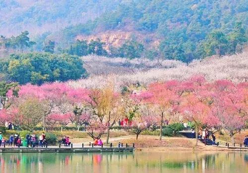 张家港天气预报15天精准查询:轻松规划行程,告别天气困扰 张家港天气预报15天精准查询:轻松规划行程,告别天气困扰