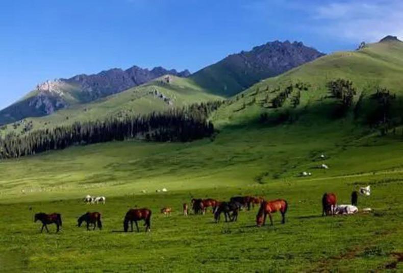 阿坝天气全攻略：掌握高原气候规律，轻松应对多变天气，享受无忧旅行