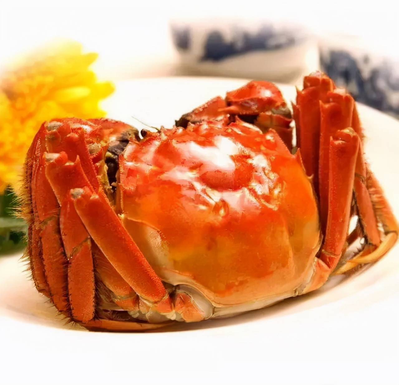 固城湖大闸蟹选购保存烹饪全攻略:从湖底到餐桌的鲜美秘诀 固城湖大闸蟹选购保存烹饪全攻略:从湖底到餐桌的鲜美秘诀