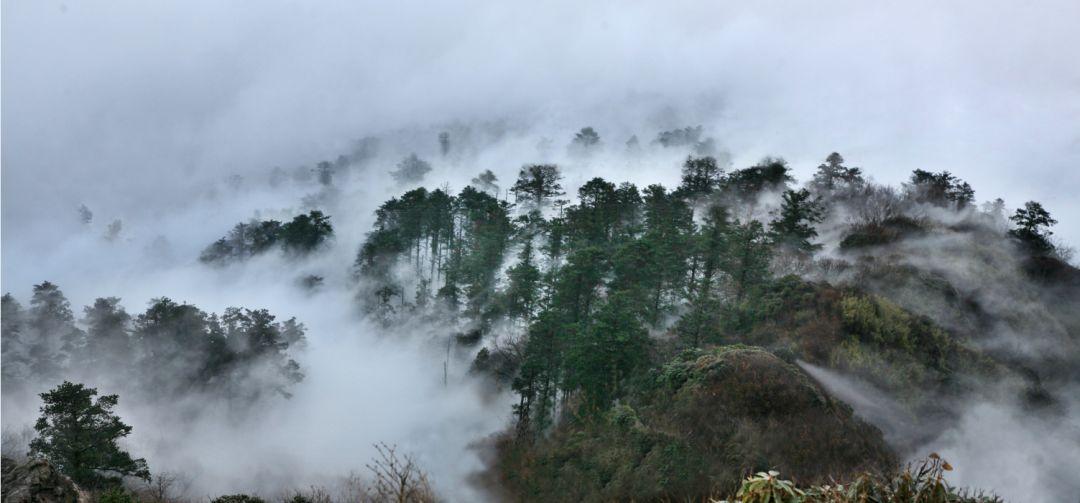 峨眉山天气全攻略:四季变化规律、实时预报与旅游应对技巧,助你轻松规划完美旅程 峨眉山天气全攻略:四季变化规律、实时预报与旅游应对技巧,助你轻松规划完美旅程