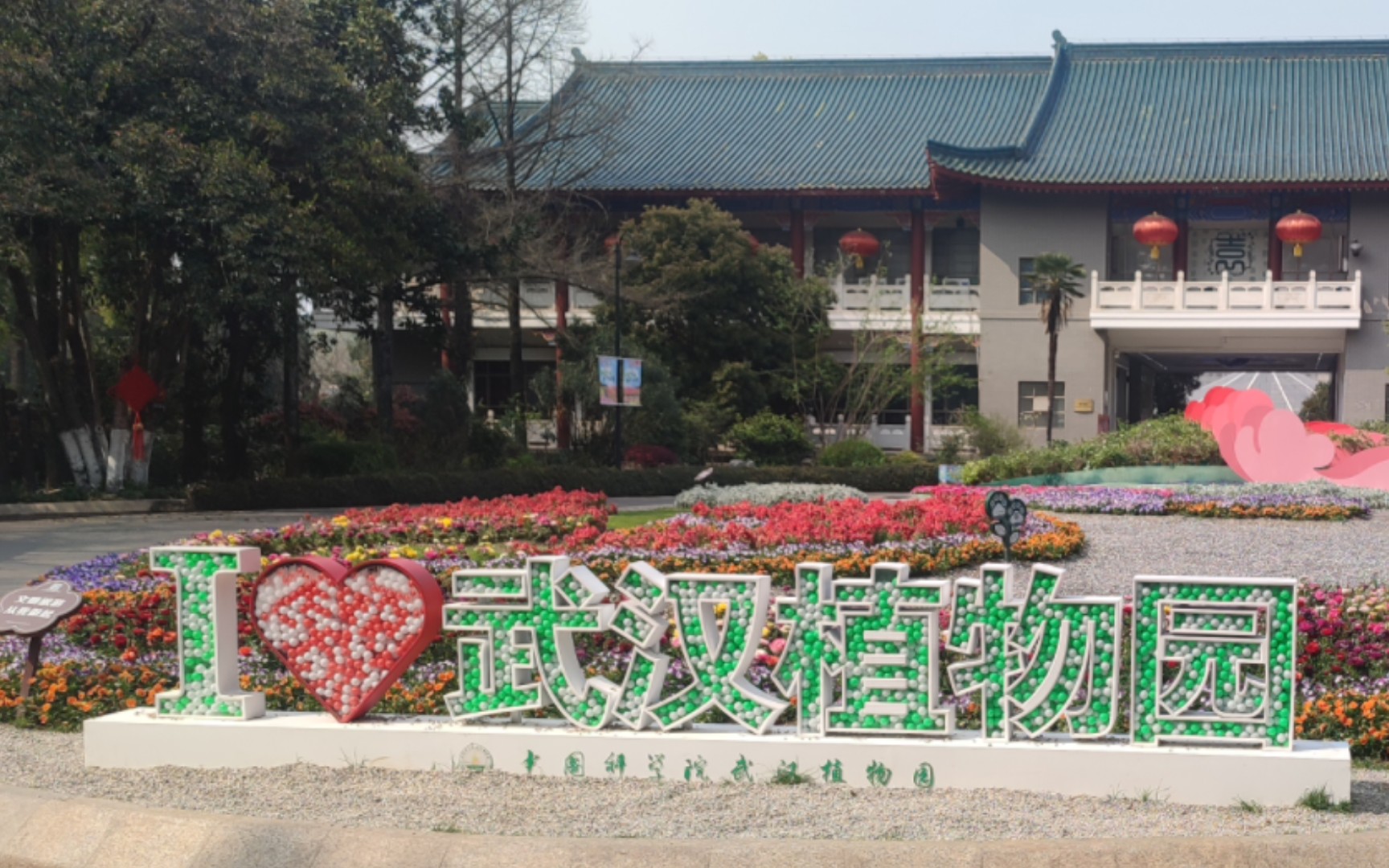 武汉植物园游玩全攻略:门票交通、最佳季节、景点路线一网打尽,轻松享受城市绿洲之旅 武汉植物园游玩全攻略:门票交通、最佳季节、景点路线一网打尽,轻松享受城市绿洲之旅