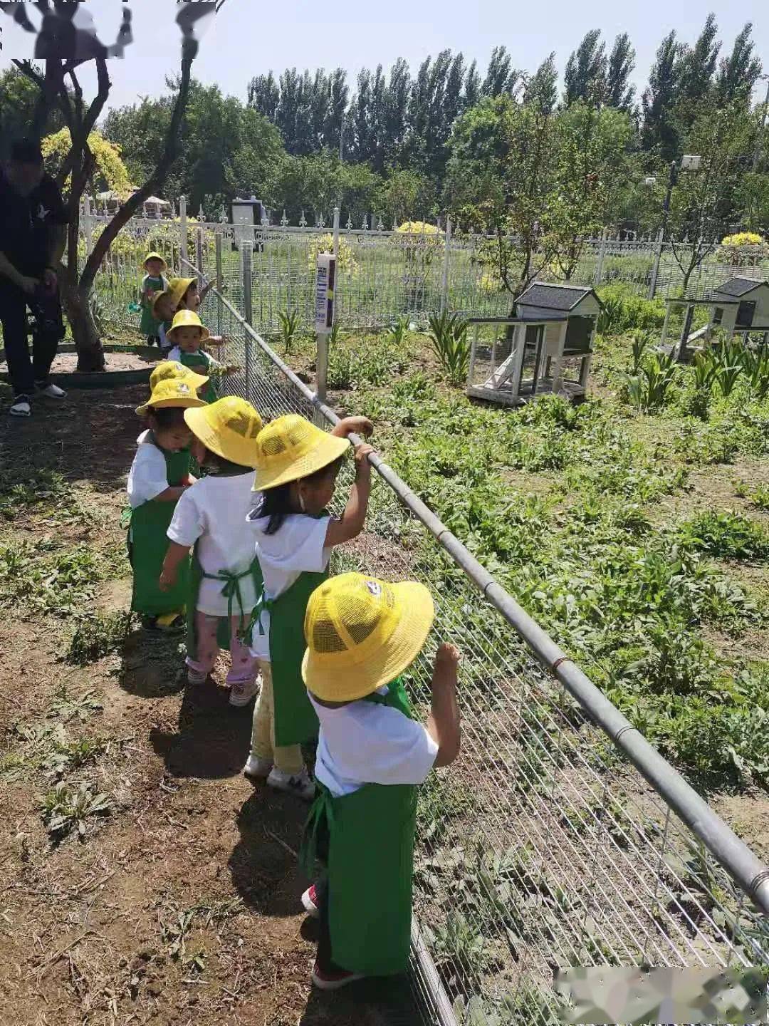 有机农场:从理念到盈利的完整指南,轻松享受健康生活 有机农场:从理念到盈利的完整指南,轻松享受健康生活