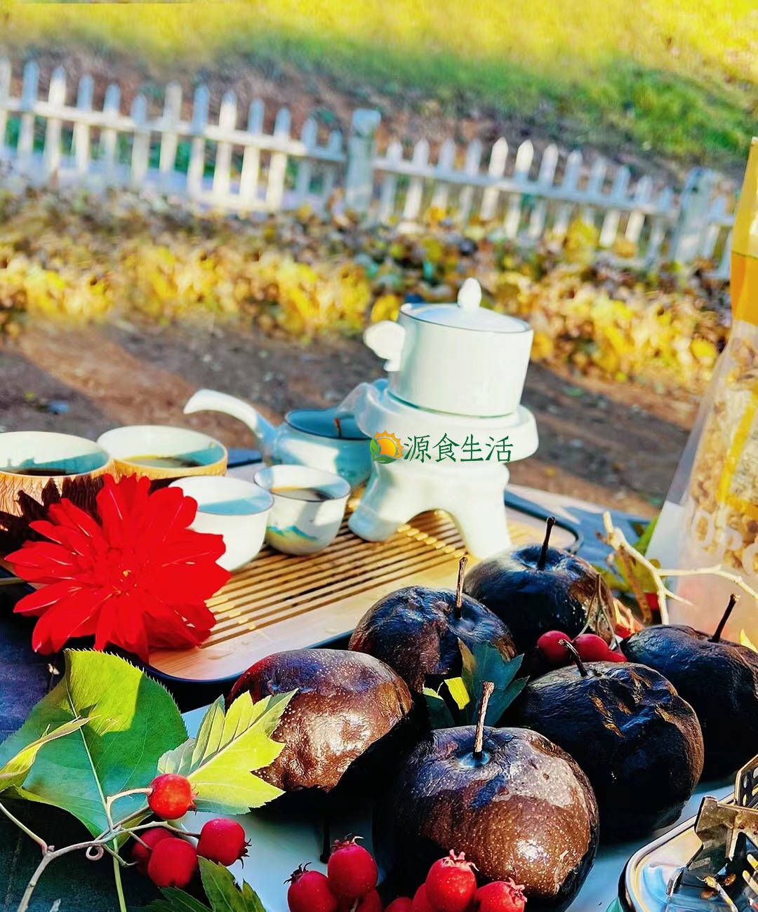 有机农场:从理念到盈利的完整指南,轻松享受健康生活 有机农场:从理念到盈利的完整指南,轻松享受健康生活