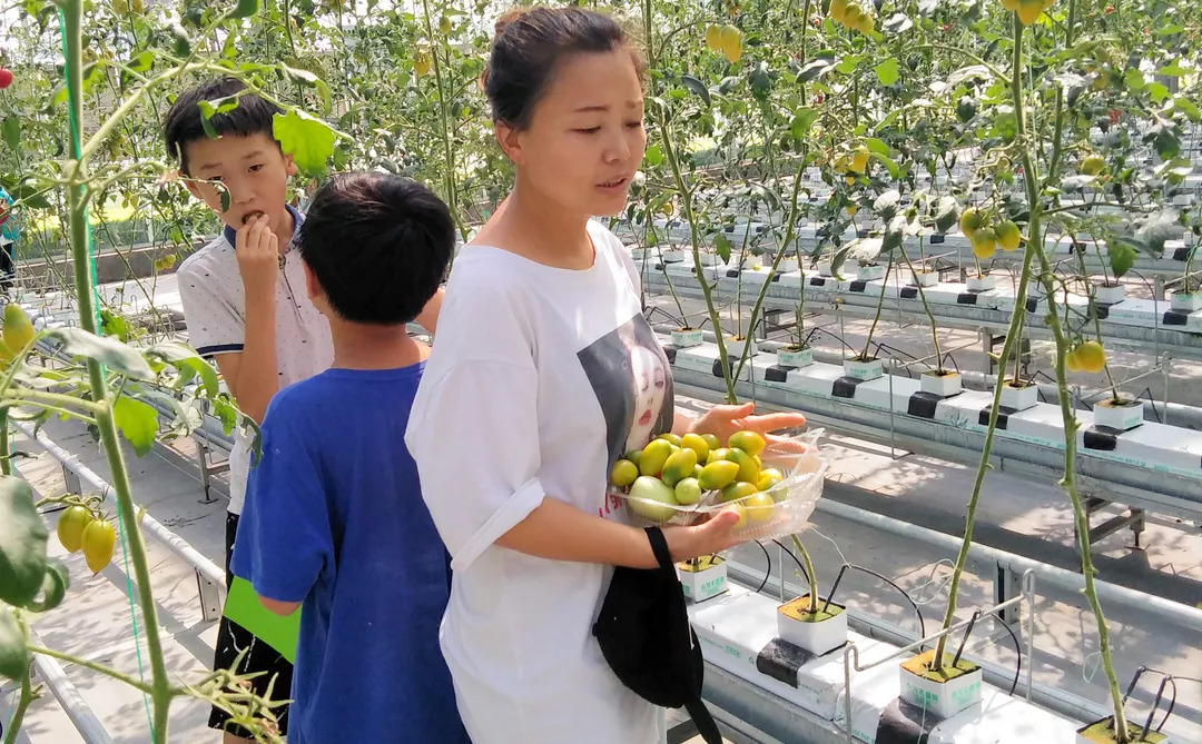 有机农场:从理念到盈利的完整指南,轻松享受健康生活 有机农场:从理念到盈利的完整指南,轻松享受健康生活