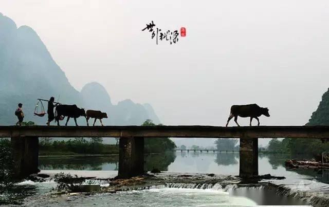 我想去桂林旅游攻略:山水如画与文化底蕴全解析,避开人潮轻松玩转 我想去桂林旅游攻略:山水如画与文化底蕴全解析,避开人潮轻松玩转