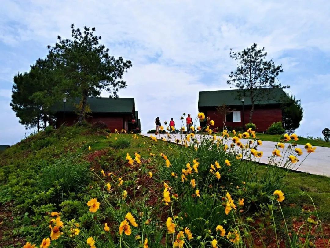 广东韶关旅游攻略:解锁岭南隐士的自然奇观与文化宝藏,轻松规划完美旅程 广东韶关旅游攻略:解锁岭南隐士的自然奇观与文化宝藏,轻松规划完美旅程