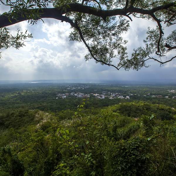 龙头山森林公园门票多少钱?2024年最新价格、省钱攻略及游玩路线全解析 龙头山森林公园门票多少钱?2024年最新价格、省钱攻略及游玩路线全解析