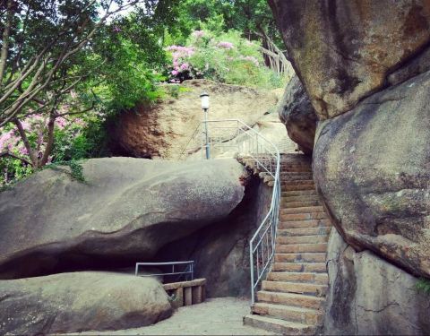 龙头山森林公园门票多少钱?2024年最新价格、省钱攻略及游玩路线全解析 龙头山森林公园门票多少钱?2024年最新价格、省钱攻略及游玩路线全解析