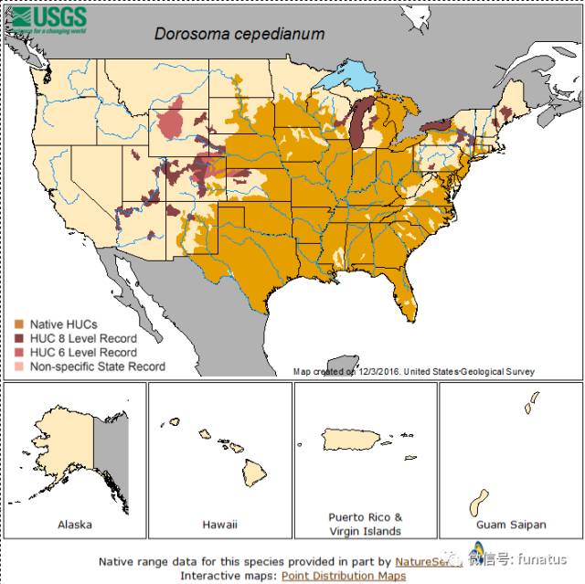 美国属于哪个洲?揭秘北美洲地理优势与边界特征 美国属于哪个洲?揭秘北美洲地理优势与边界特征