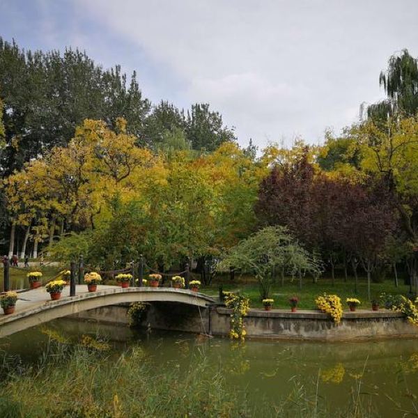 合肥植物园游玩全攻略:门票价格、开放时间、交通路线及四季美景一网打尽 合肥植物园游玩全攻略:门票价格、开放时间、交通路线及四季美景一网打尽