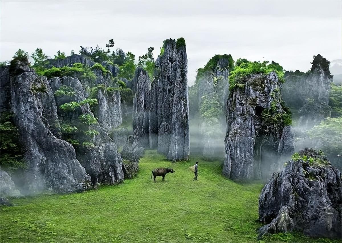 成都地质学院:揭秘地质学府如何培养实用人才,轻松掌握地质奥秘 成都地质学院:揭秘地质学府如何培养实用人才,轻松掌握地质奥秘