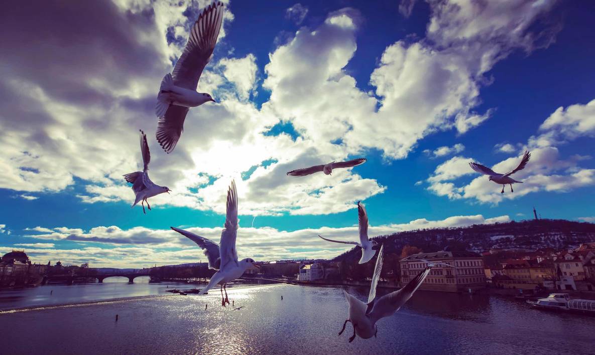 有一个地方只有我们知道:跨越时空的爱情叙事与布拉格浪漫取景深度解析 有一个地方只有我们知道:跨越时空的爱情叙事与布拉格浪漫取景深度解析