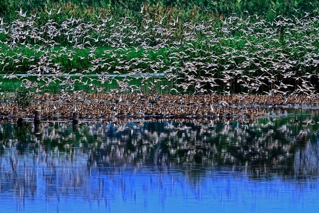 华侨城欢乐海岸游玩全攻略:省钱省时玩转深圳湾休闲胜地 华侨城欢乐海岸游玩全攻略:省钱省时玩转深圳湾休闲胜地